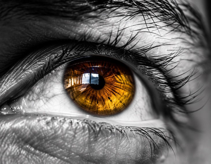 Nahaufnahme eines Auges mit goldbrauner Iris